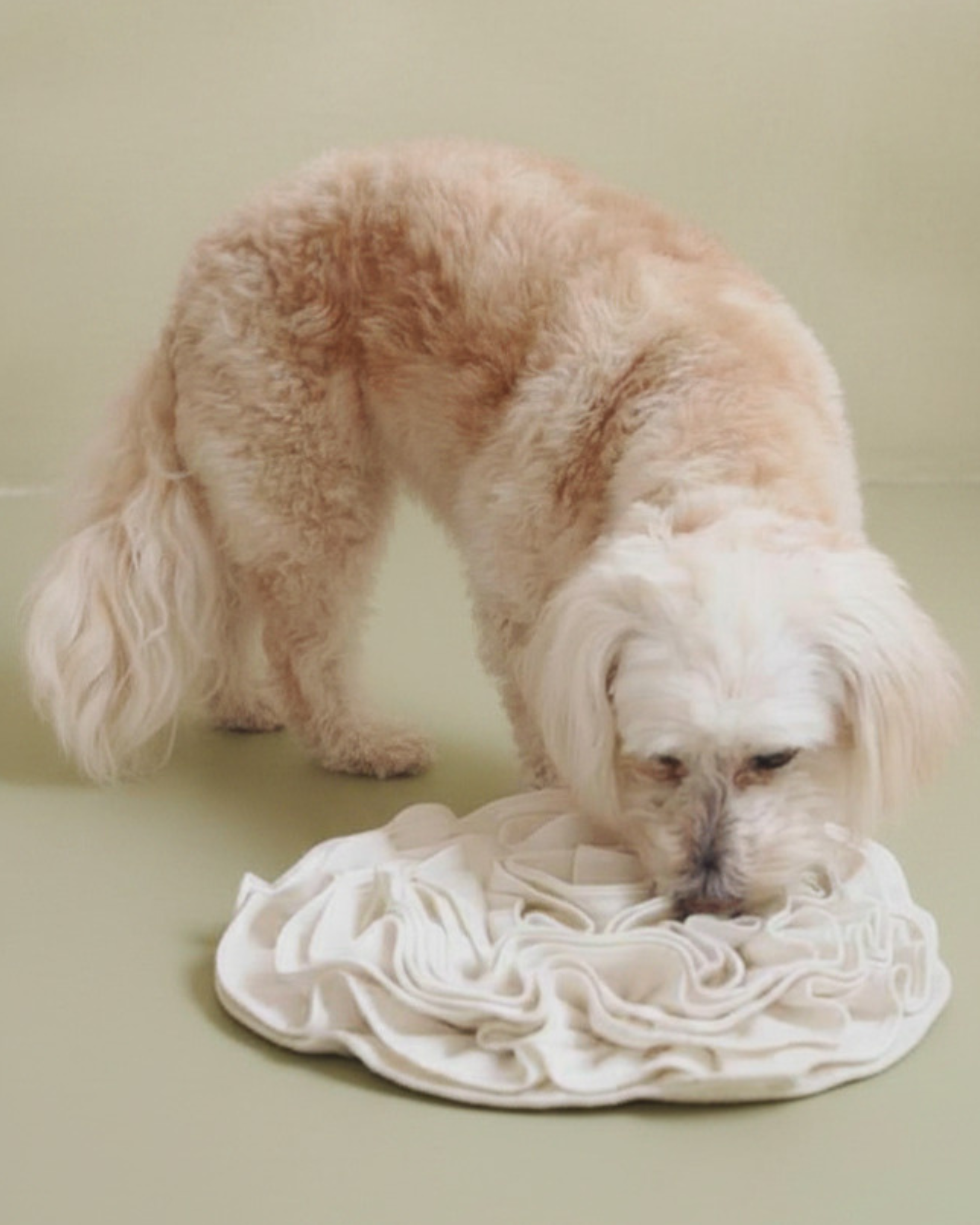 Non-Toxic Organic Hemp & Cotton Snuffle Mat for Dogs