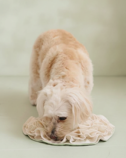 Non-Toxic Organic Hemp & Cotton Snuffle Mat for Dogs