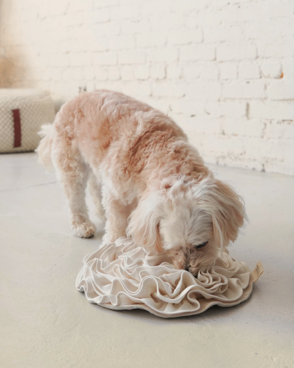 Non-Toxic Organic Hemp & Cotton Snuffle Mat for Dogs