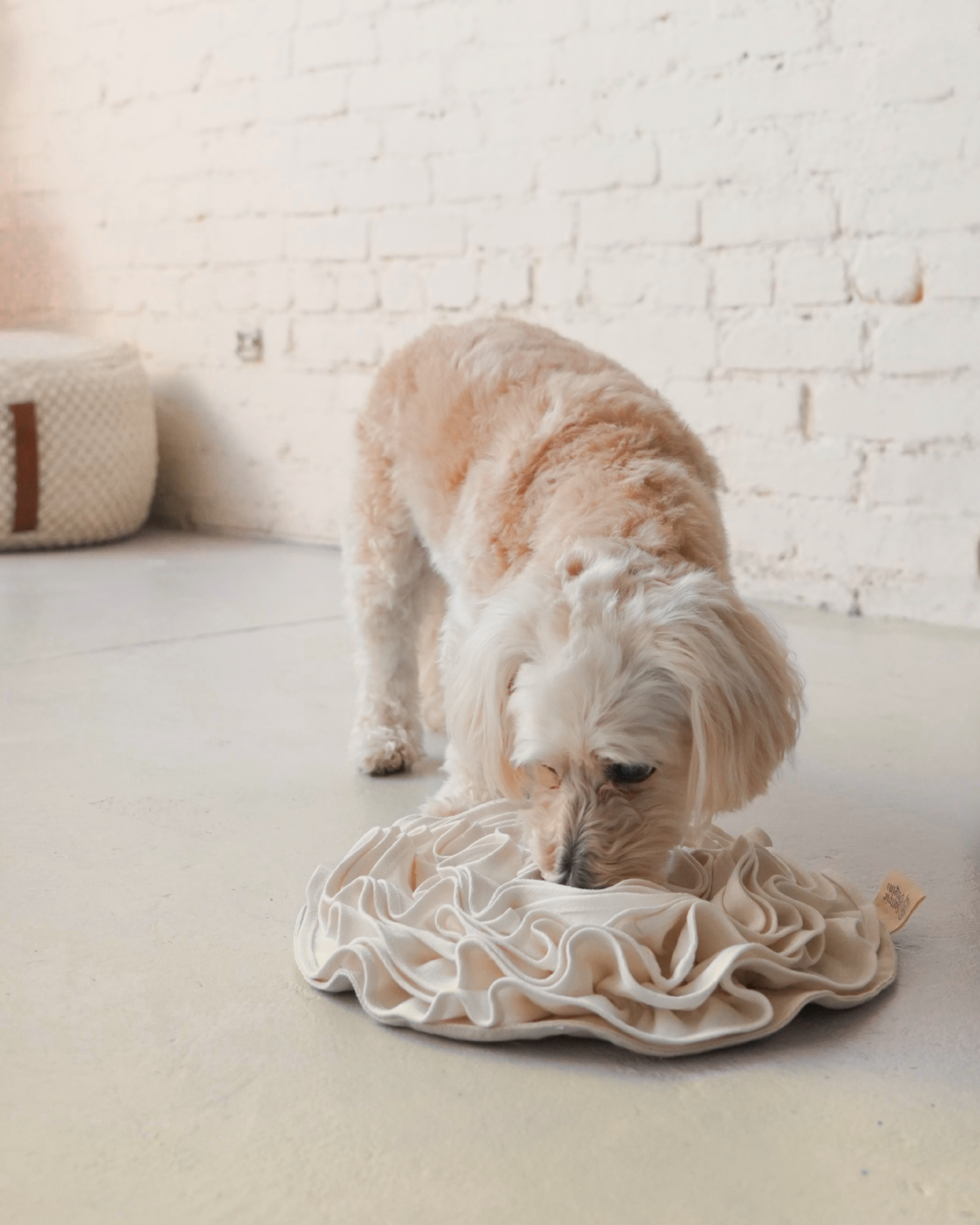 Non-Toxic Organic Hemp & Cotton Snuffle Mat for Dogs