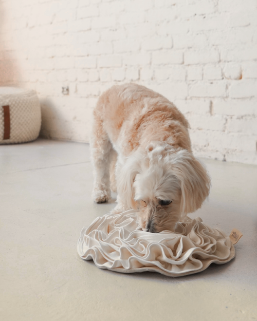 Non-Toxic Organic Hemp & Cotton Snuffle Mat for Dogs