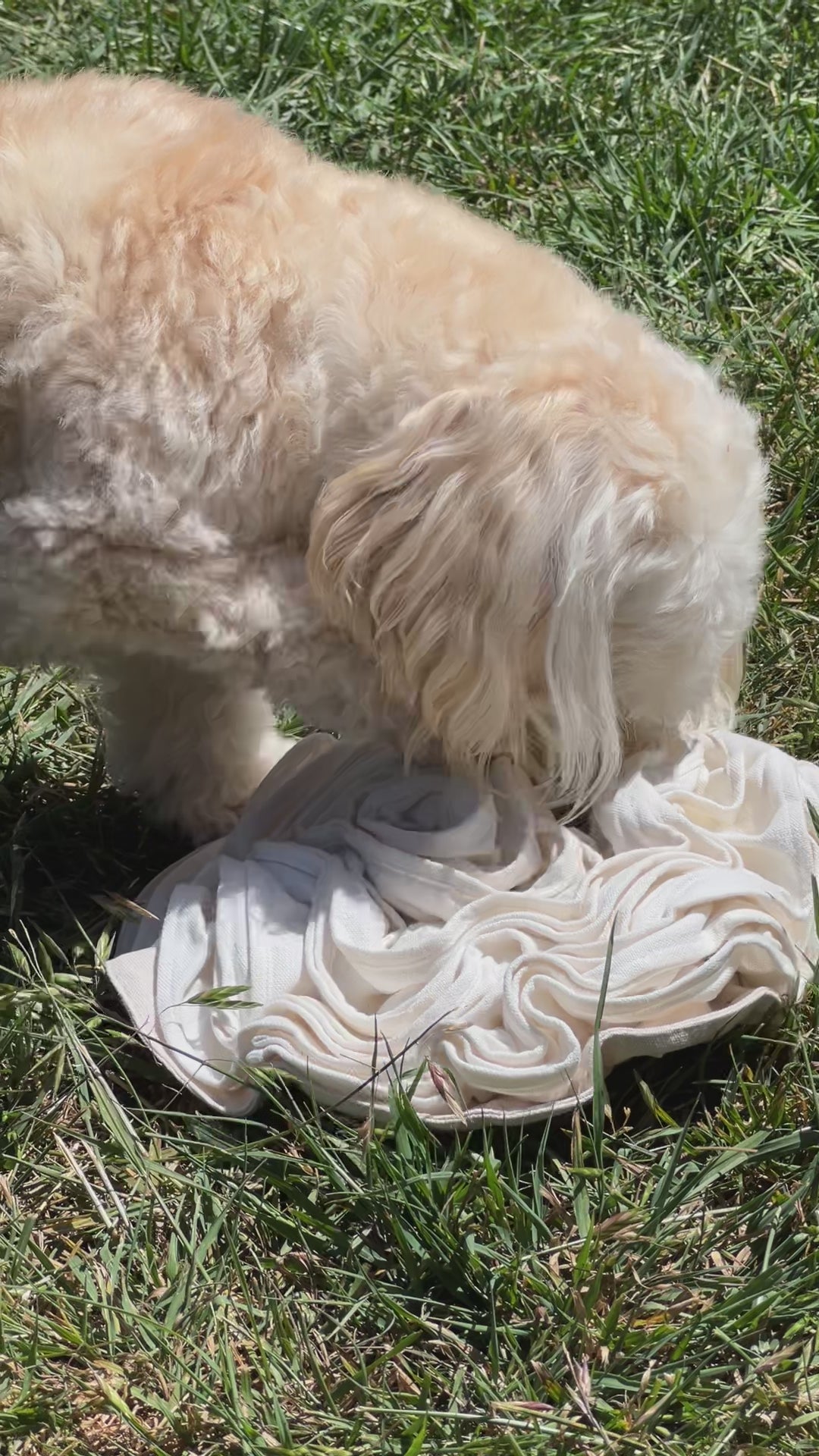Non-Toxic Organic Hemp & Cotton Snuffle Mat for Dogs