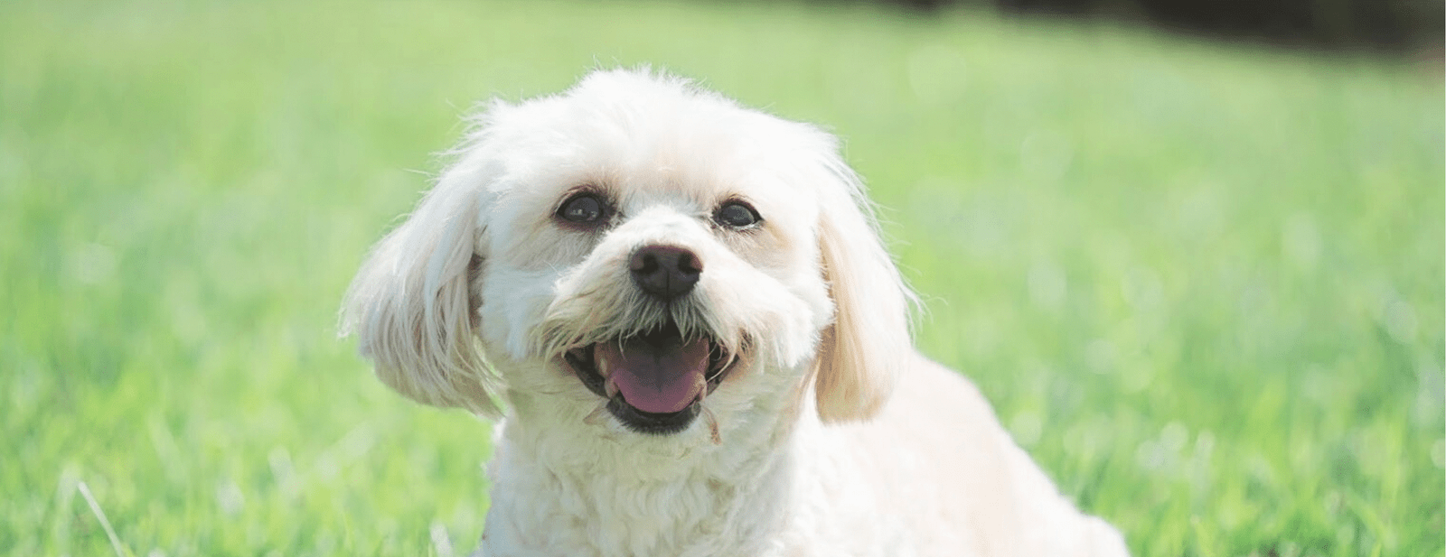 Untitled design (11)