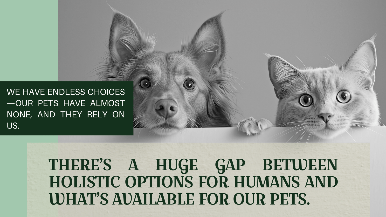 Black and Beige Bold and Edgy Fashion Behind The Scenes Photo Grid Instagram Story (2160 x 3840 px) (18)