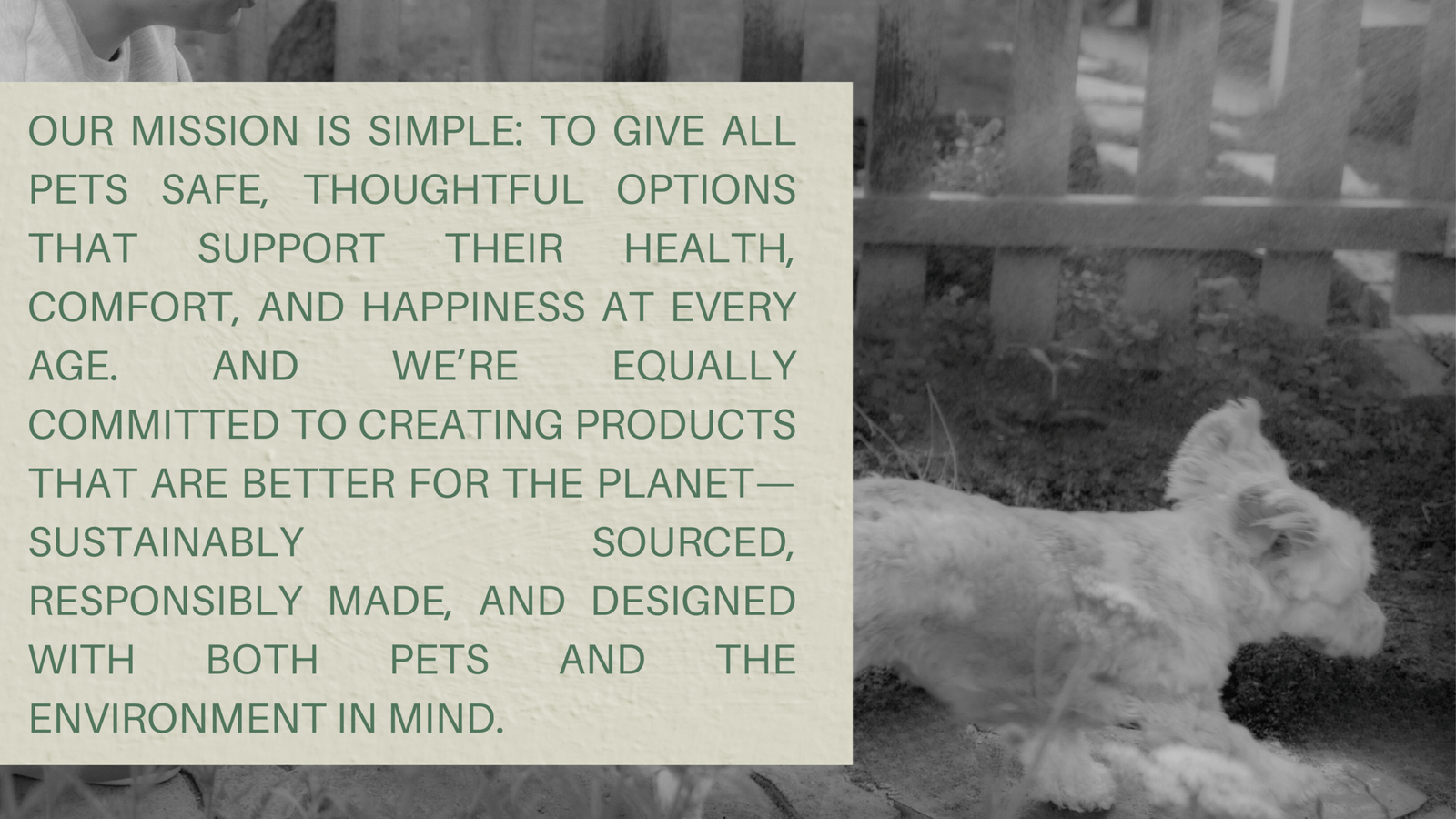 Black and Beige Bold and Edgy Fashion Behind The Scenes Photo Grid Instagram Story (2160 x 3840 px) (19)