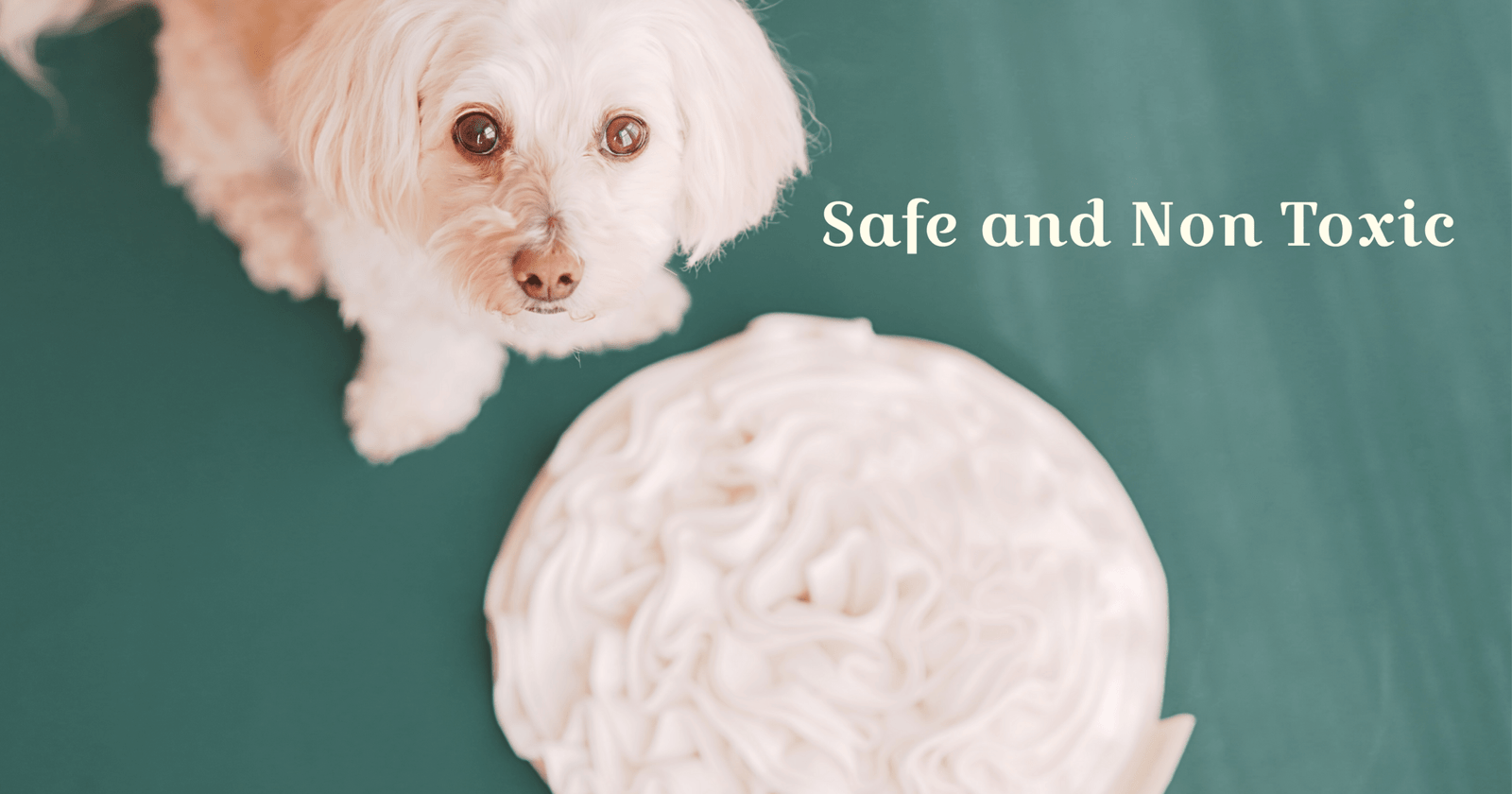 Copy of Black and Beige Bold and Edgy Fashion Behind The Scenes Photo Grid Instagram Story (2160 x 3840 px) (Facebook Post) (2)